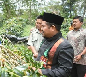 Pemda Bener Meriah akan Larang Menembaki Burung